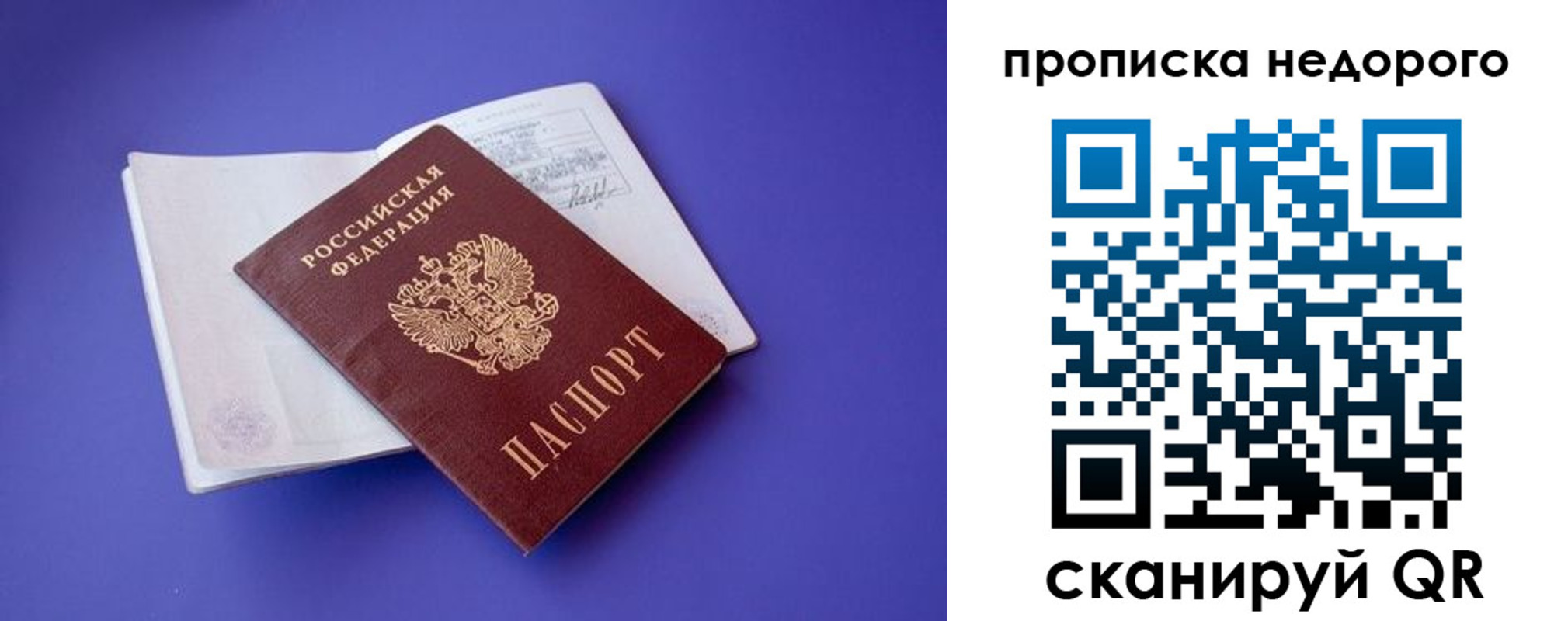 прописка гарантия в Оренбурге