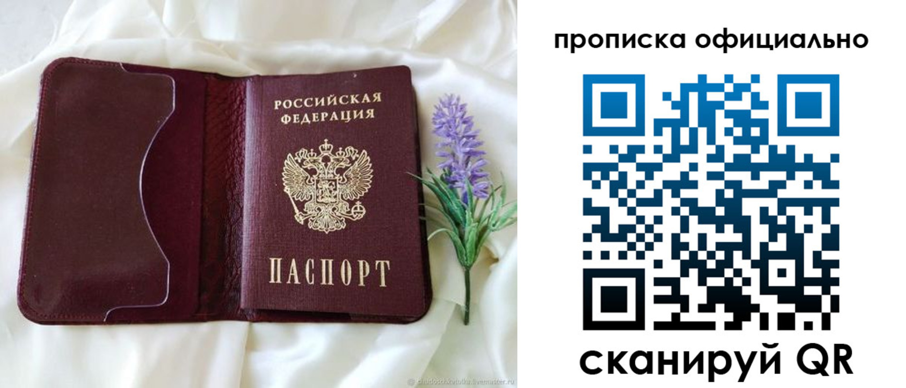 прописка гарантия в Оренбурге